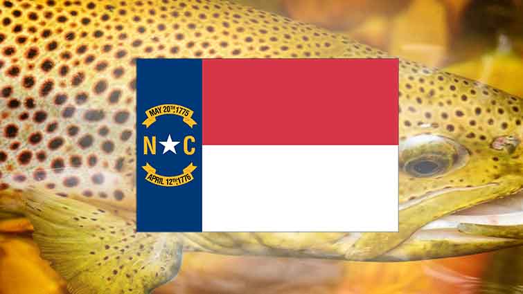 Top 20 Places to Fly Fish in North Carolina – And What Flies to Use