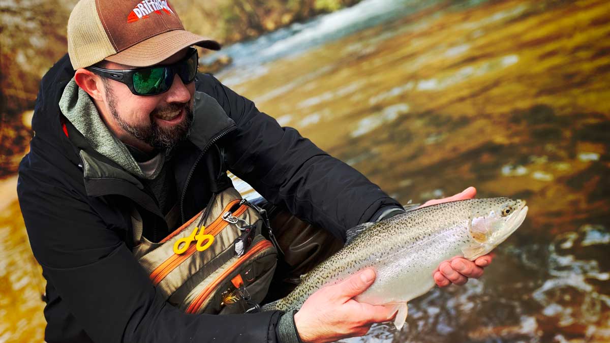 15 Best Trout Baits Used By Top River Guides