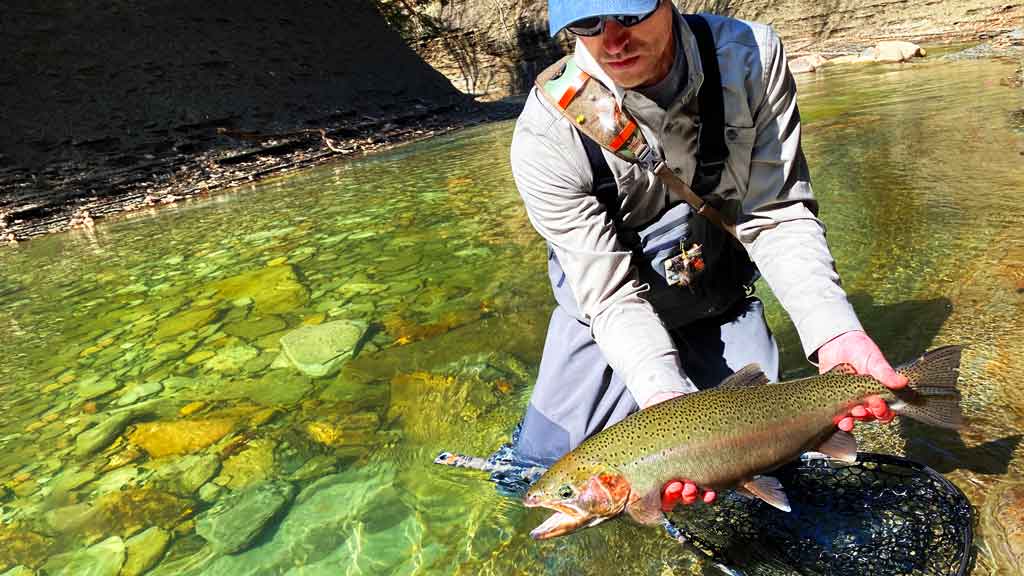 15 Best Trout Flies for April