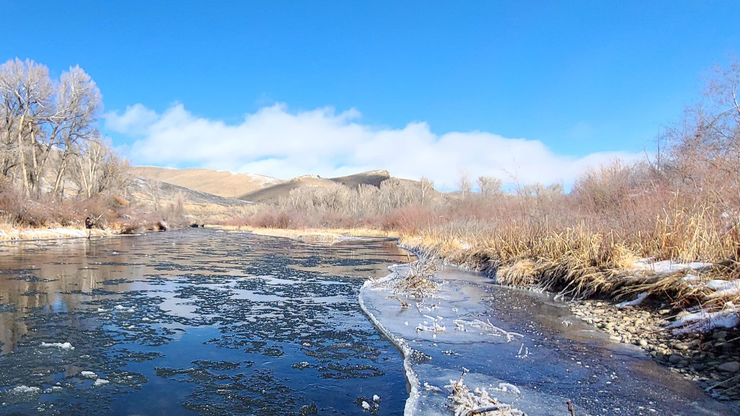 15 of the Best Trout Flies for February