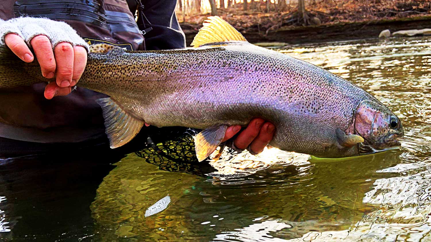20 Tips To Improve Your Nymph Fly Fishing