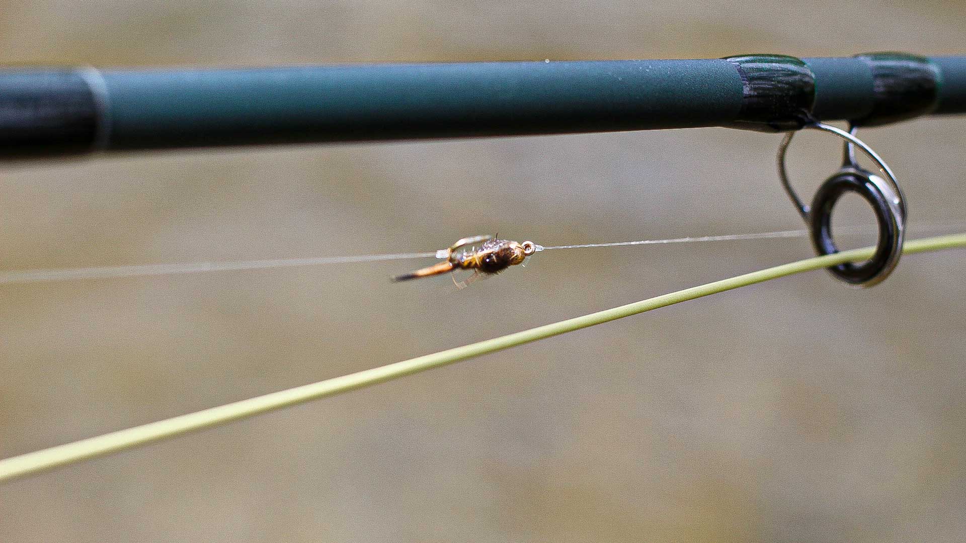 20 Tips to Fly Fishing with a Dropper