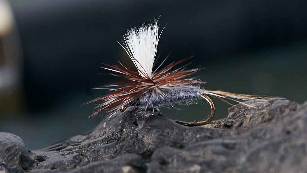 Dry-Fly Fishing in Theory and Practice - Wikipedia