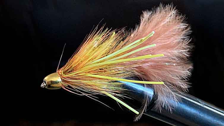 Top 5 Best Streamers for Trout - And How to Fish Them