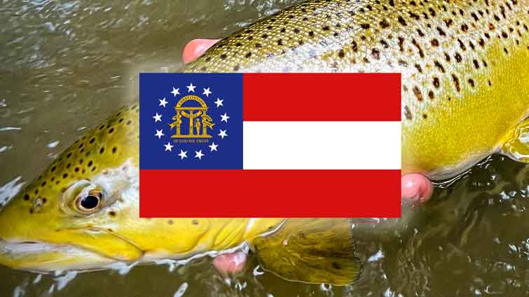 Top 13 Places to Fly Fish in Georgia – And What Flies to Use