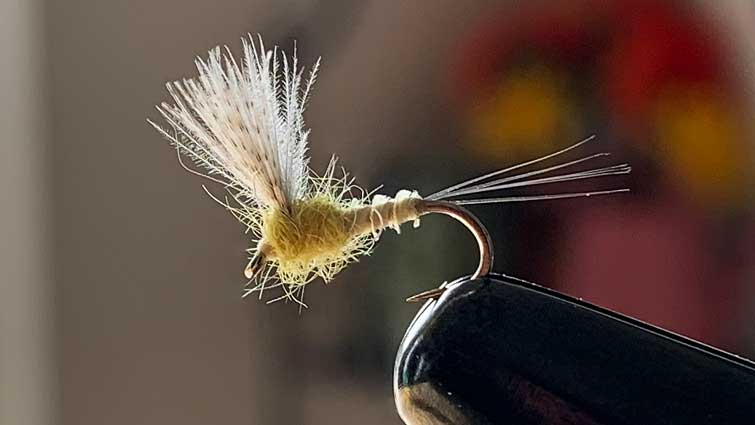 Best Size Dry Flies for Catching Large Trout