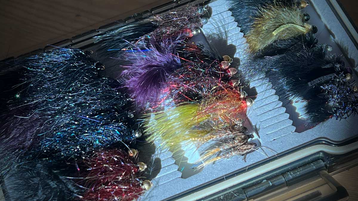 box of lake flies
