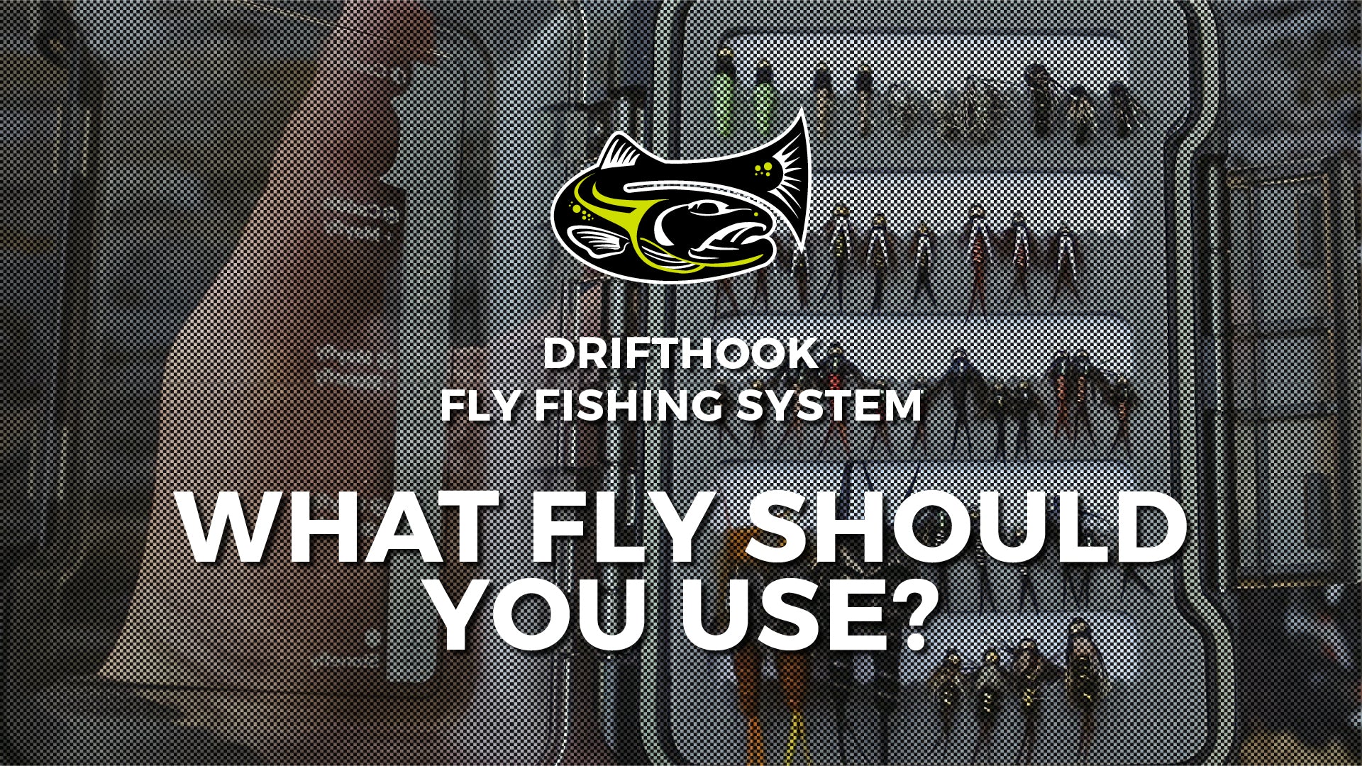 How to Pick "The Perfect Fly"