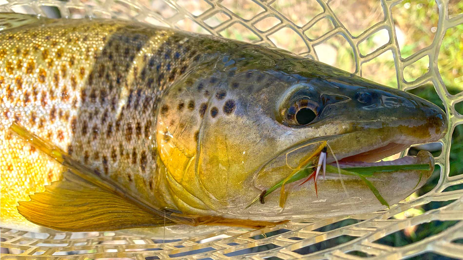 How Long Should A Fly Fishing Leader Be?