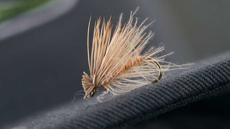 Dry Fly Fishing Gear for Guide Like Success