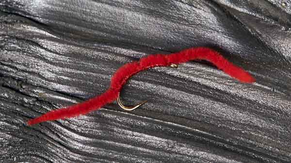 Fly Tying The Ultimate Bloodworm 