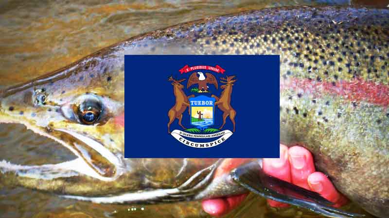 Top 15 Places to Fly Fish in Michigan - And What Flies to Use