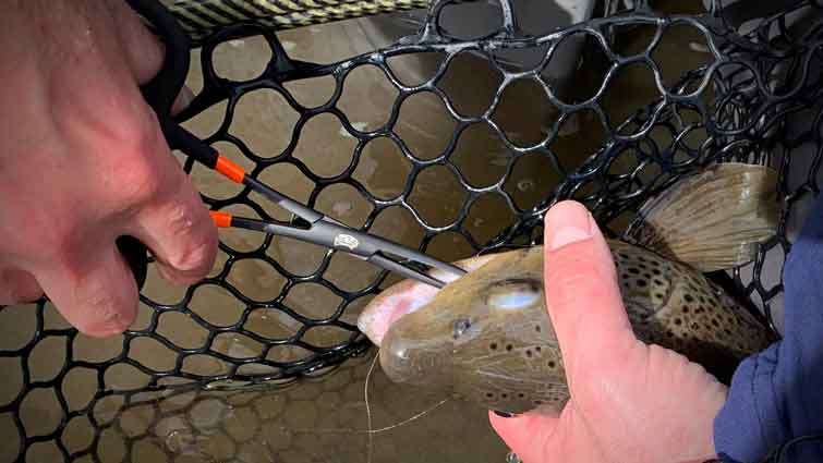 Grabbing the Right Forceps for Fly Fishing - Casting Across