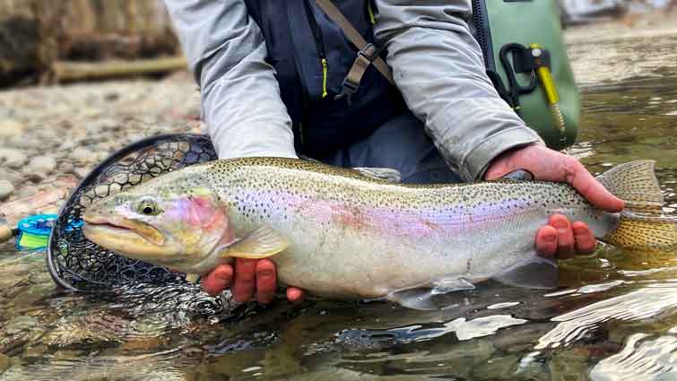 The Trout Zone: First Full Day of Fly Fishing on Deep Creek
