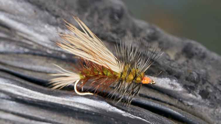 How Do You Treat Dry Flies?