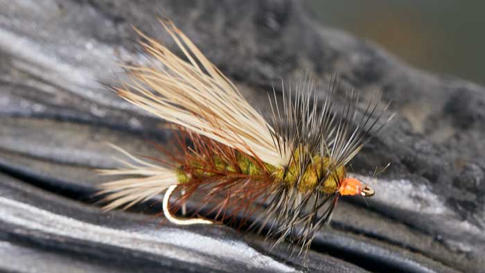 Black flying ant traditional dry fly from the guys at fish fishing flies