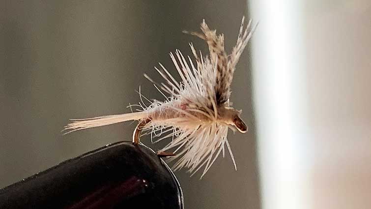 Feeder Creek Fly Fishing Flies for Trout, Adams Dry Fly Pattern, Famous Attractor Pattern, Different, Hand Tied (14)