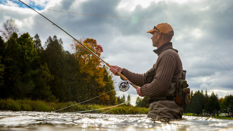 Casting Decisions: Saltwater vs. Freshwater Fly Fishing