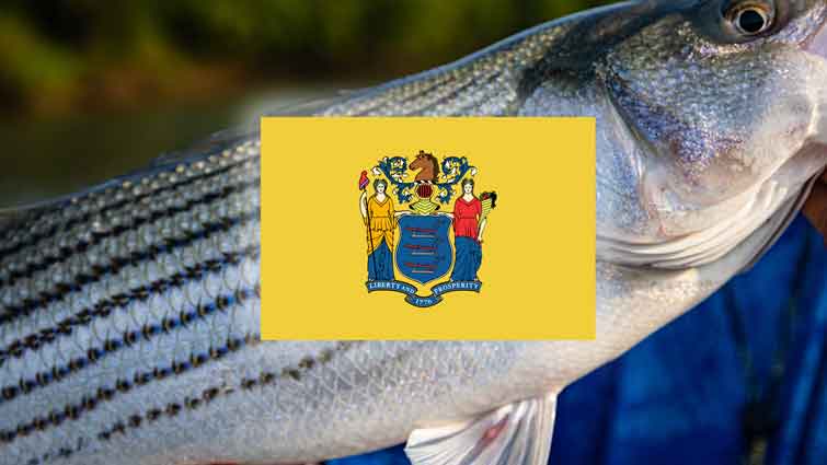 New Jersey Weakfish Fishing Guide and Tips