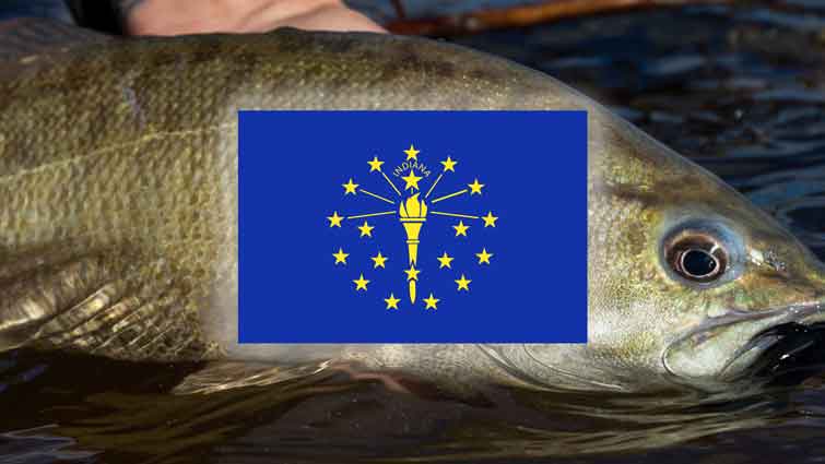 http://drifthook.com/cdn/shop/articles/Top-14-Places-to-Fly-Fish-in-Indiana-_-And-What-Flies-to-Use.jpg?v=1671663178