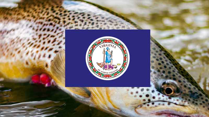 Fishing for Maryland's Put-and-Take Trout
