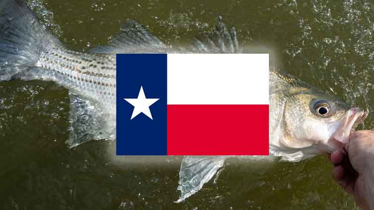 West Texas Fishing Atlas