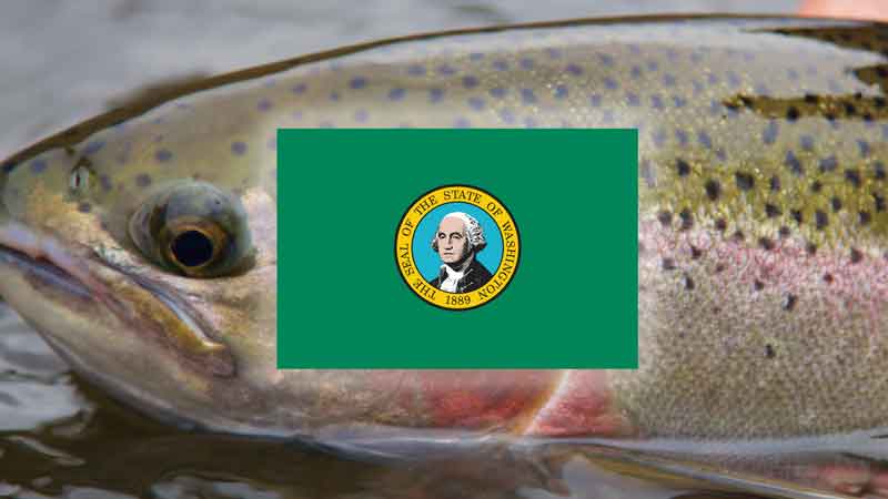 Washington's Free Fishing Weekend returns with new rules