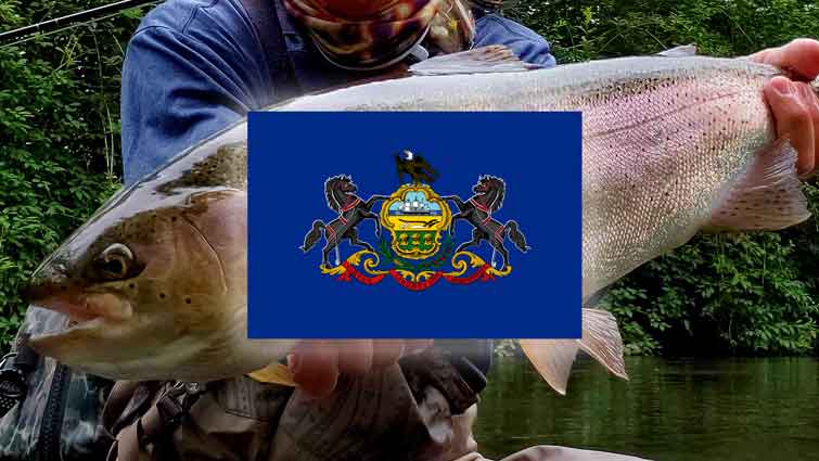 Schuylkill River Catfishing - Top Water Trips