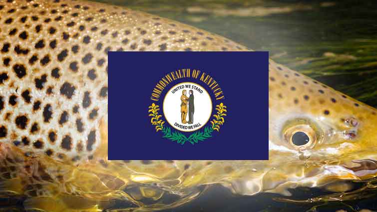 Late Spring is an Excellent Time for River Fishing - Kentucky Department of  Fish & Wildlife