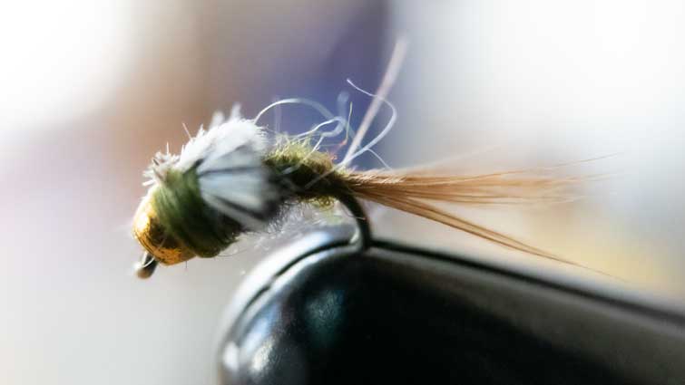 What Do Nymph Flies Imitate? And Fly Patterns to Match