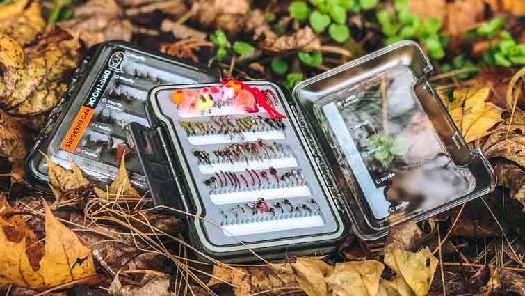 What Flies Are In Season?