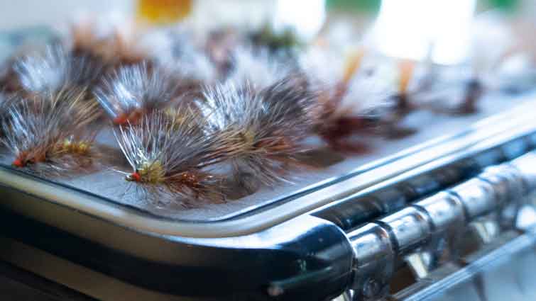 What Flies Do I Have Fly Fishing? Identify Your Flies
