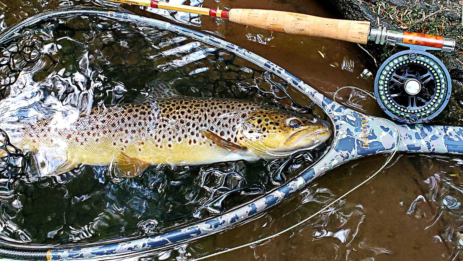 What Fly Line Setups For Trout Should You Use?