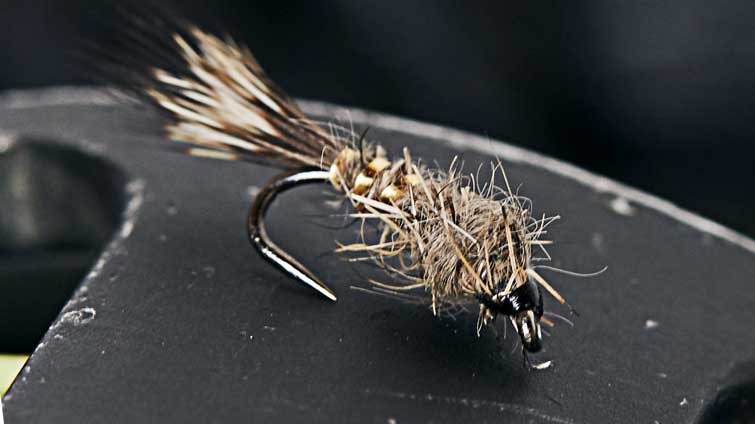 Rainbow Trout Fly Selection - 5 Guide Flies for Success