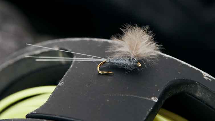 The Perfect Fly Size | Nymphs, Dry Flies, Streamers