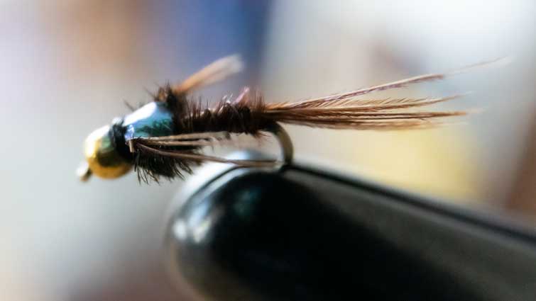 F Fly, a cdc fishing floating trout fly for fly fishing- Troutflies Uk