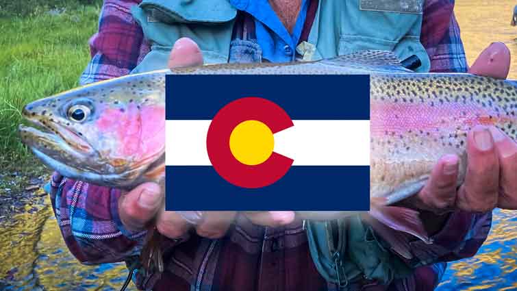 Top 26 Places to Fly Fish in Colorado - And What Flies to Use