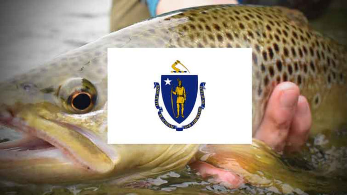 Top 17 Places to Fly Fish in Massachusetts – And What Flies to Use