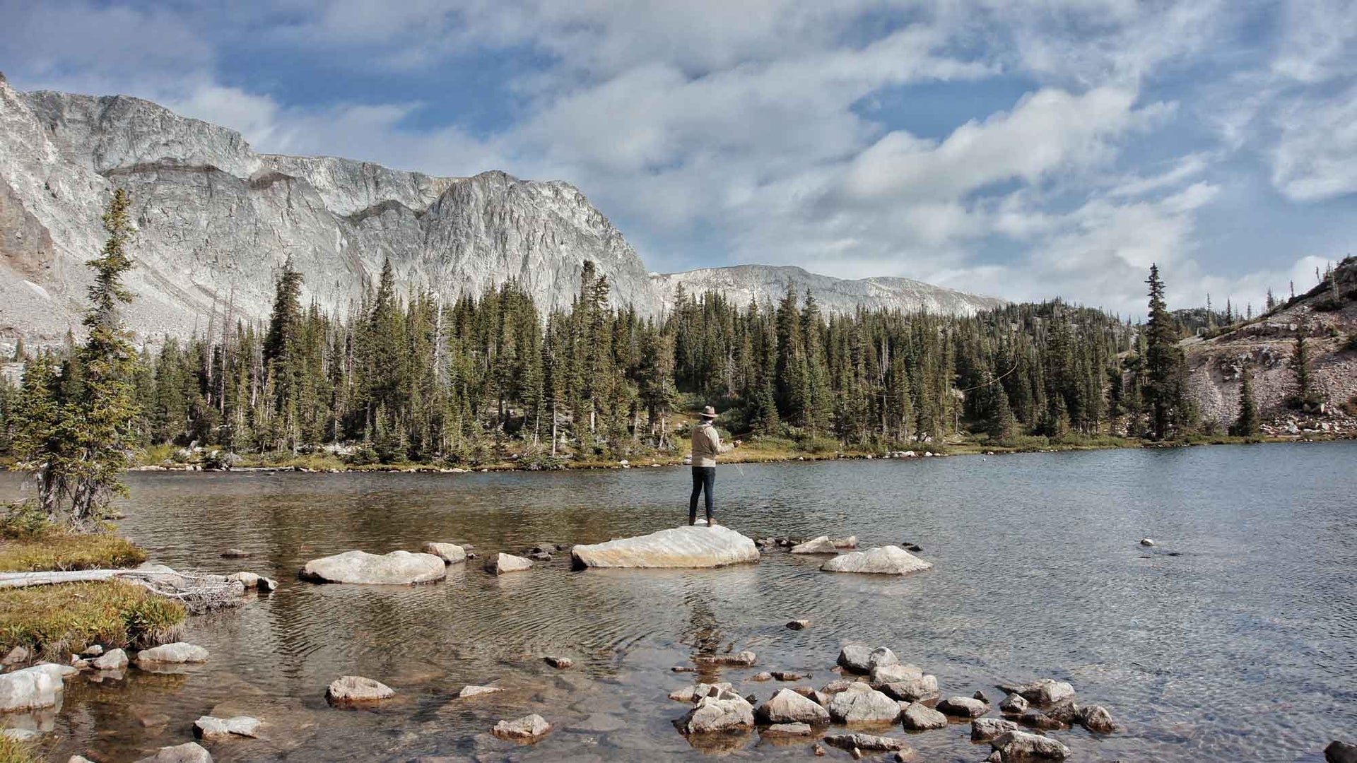 How To Fly Fish With Midges - Benefit Your Fly Fishing