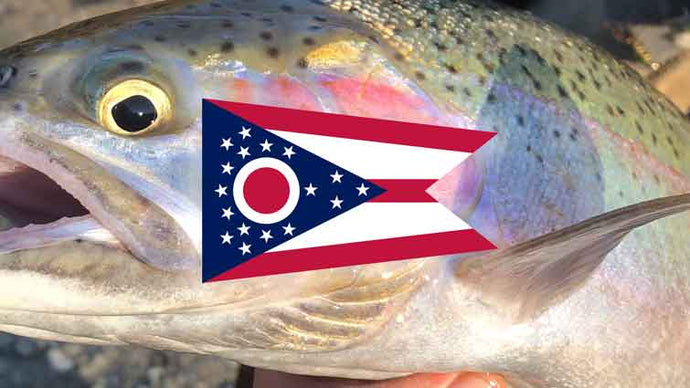 Top 15 Places to Fly Fish in Ohio – And What Flies to Use