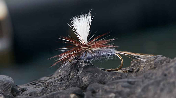 Are Dry Flies Better than Nymphs? Let the Battle Begin!