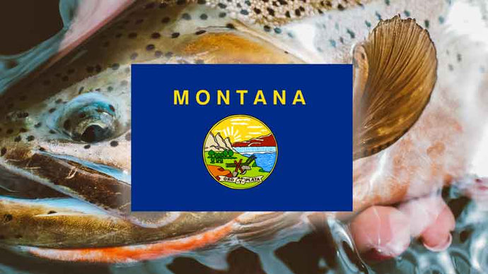 Top 17 Places to Fly Fish in Montana - And What Flies to Use