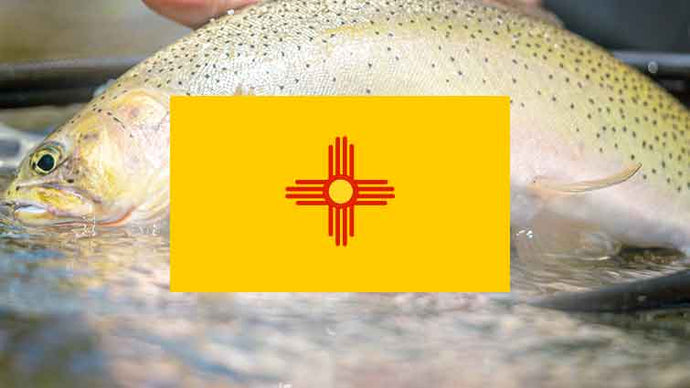 Top 20 Places to Fly Fish in New Mexico – And What Flies to Use