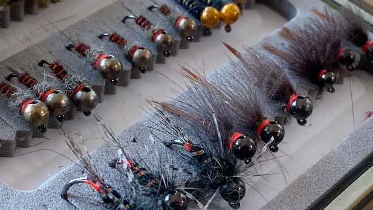 What Are The Top Euro Nymphing Flies Sizes Everyone Needs?