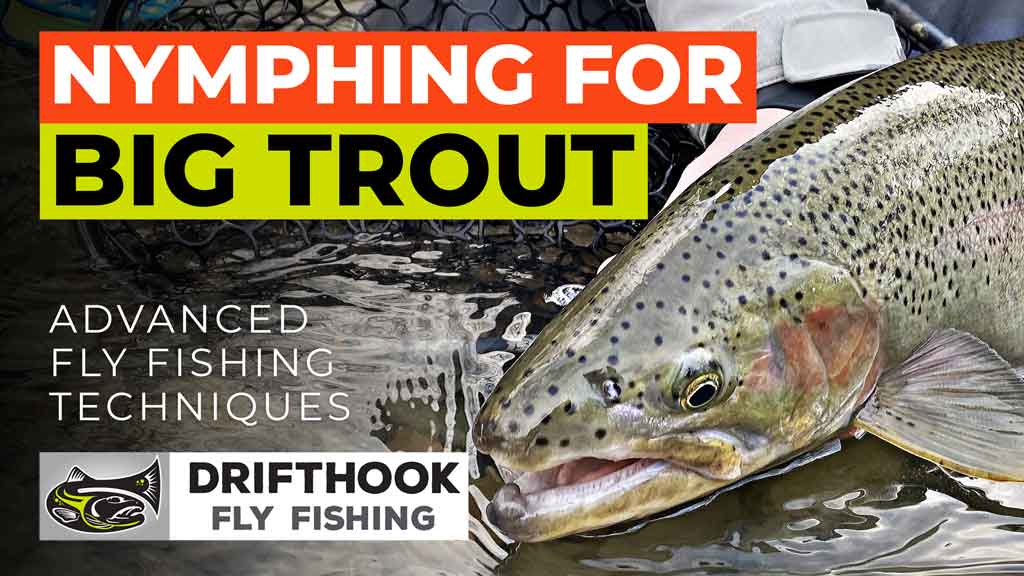 Nymphing for Big Trout (Video Lesson)
