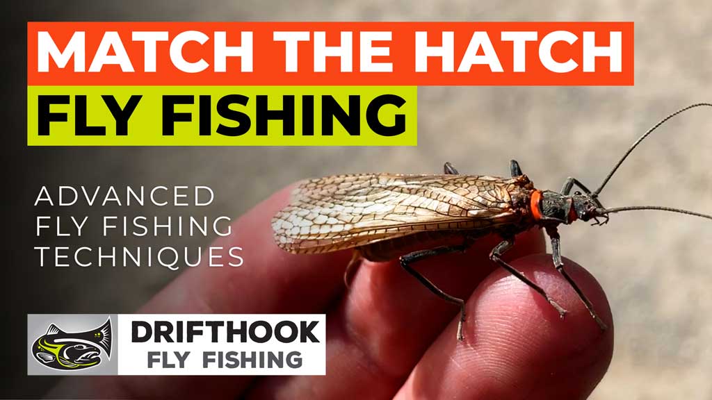 Match the Hatch Fly Fishing - Video Lesson