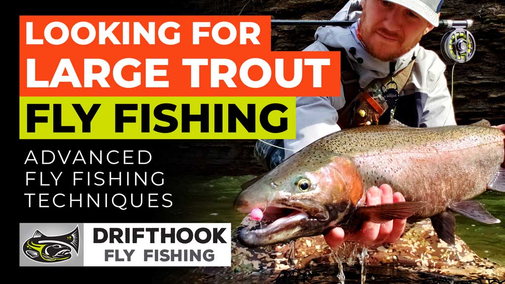 Looking for Large Trout Fly Fishing [VIDEO]