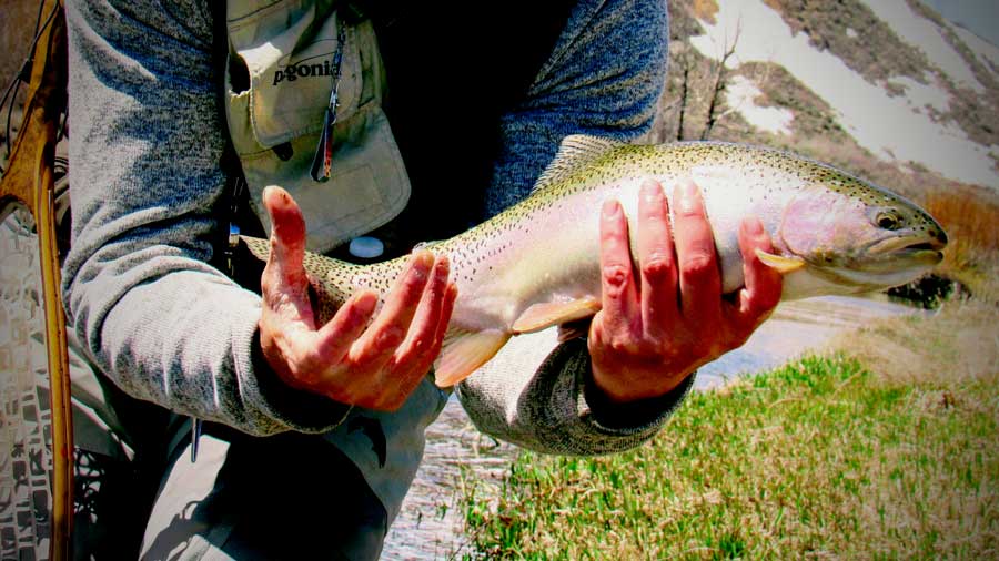 Pre-Runoff Playbook: Early Spring Trout Tactics