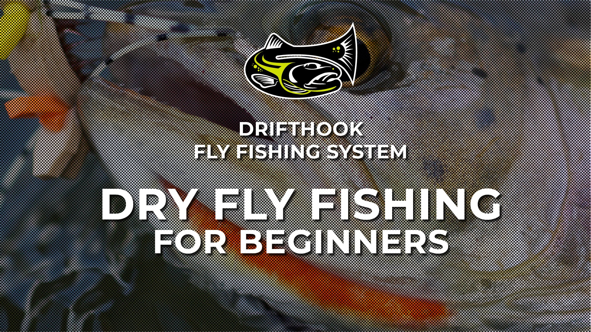 Dry Fly Fishing for Beginners