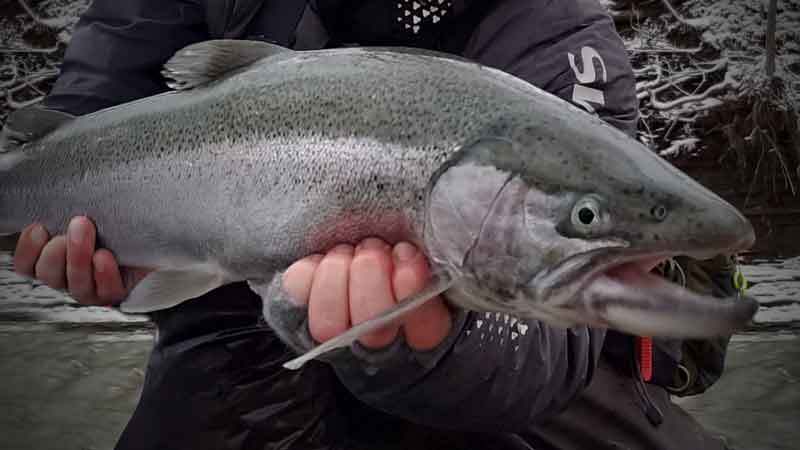 Rig Like a Pro: Off-Season Leader & Tippet Systems